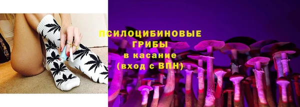 сатива Лагань