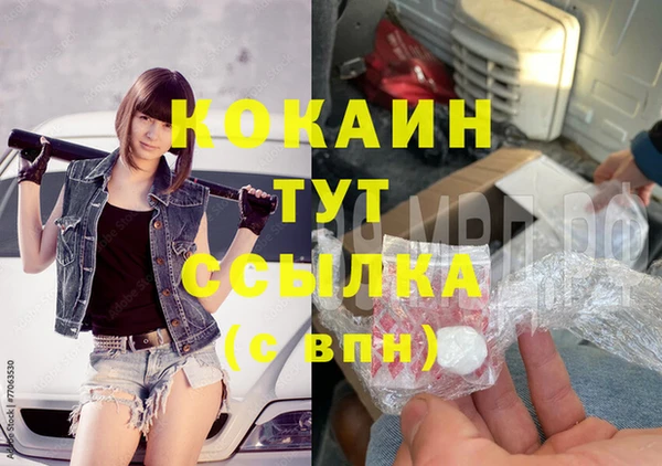 сатива Лагань