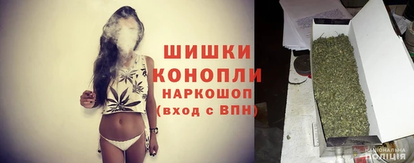 прущие грибы Куйбышев