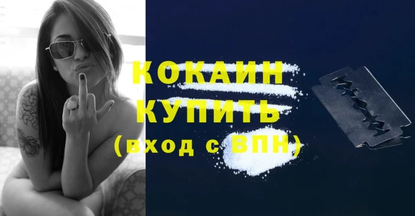 прущие грибы Куйбышев