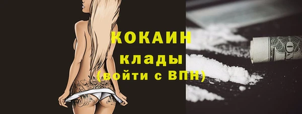 шишки Ладушкин