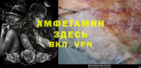 шишки Ладушкин
