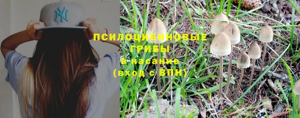 шишки Ладушкин
