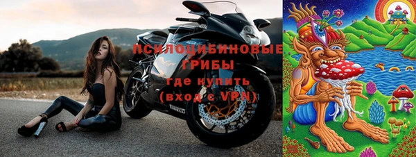 хмурый Кукмор