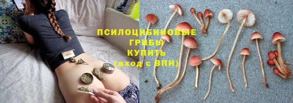 стафф Кулебаки