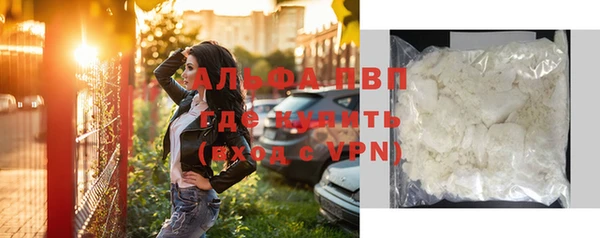 шишки Ладушкин