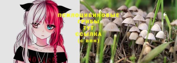 прущие грибы Куйбышев