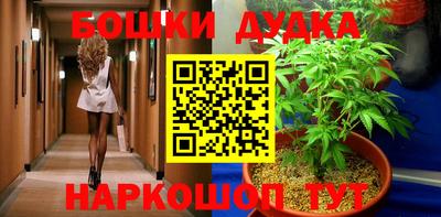 СК Абакан