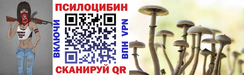 МЕГА как войти  Тулун  Галлюциногенные грибы мухоморы 