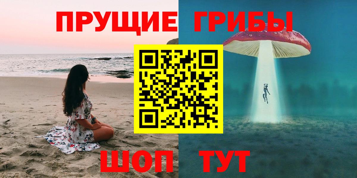 Псилоцибиновые грибы MAGIC MUSHROOMS  Вход с VPN  продажа наркотиков  Тулун 