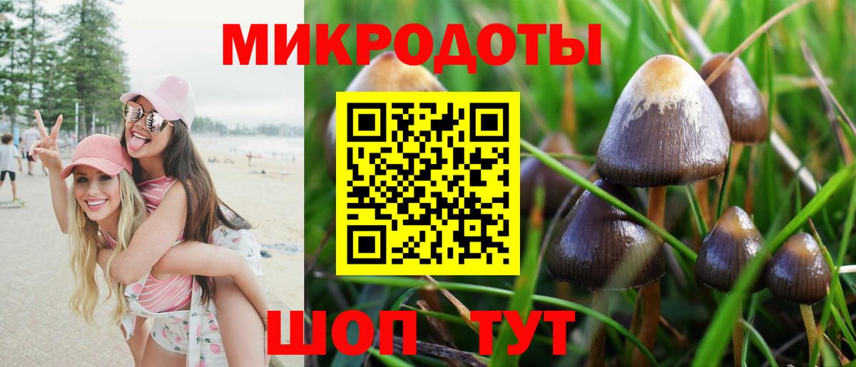 Псилоцибиновые грибы MAGIC MUSHROOMS Тулун