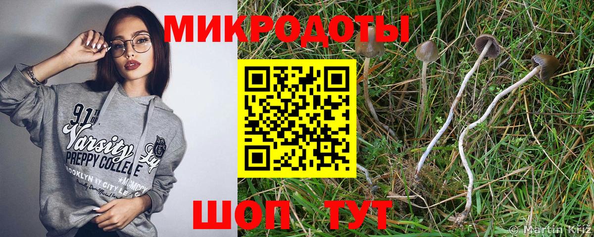 Галлюциногенные грибы Psilocybine cubensis  Вход с VPN  Тулун 
