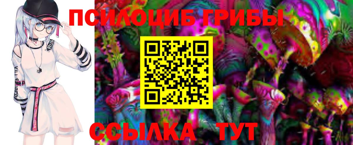 Псилоцибиновые грибы Cubensis Тулун